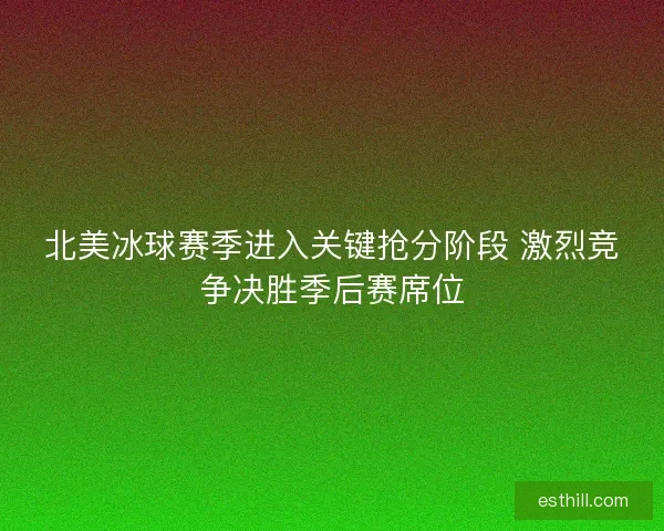 北美冰球赛季进入关键抢分阶段 激烈竞争决胜季后赛席位